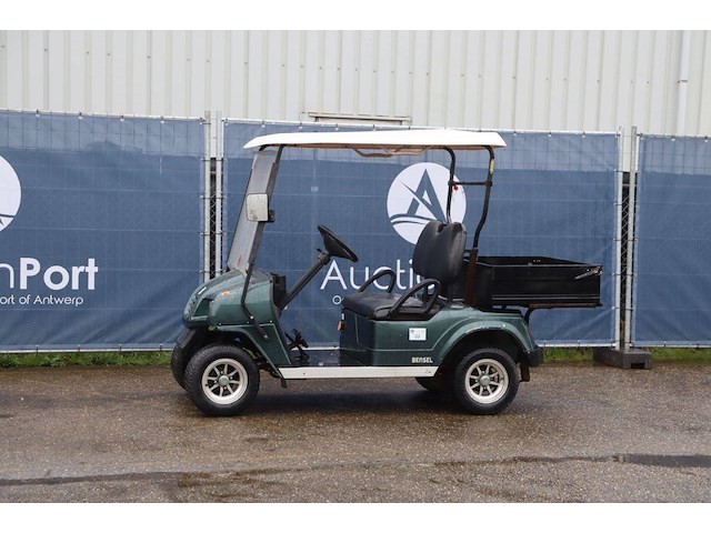 Golfkar bensel elektrisch - afbeelding 1 van  1