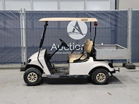 Golfkar ez-go elektrisch