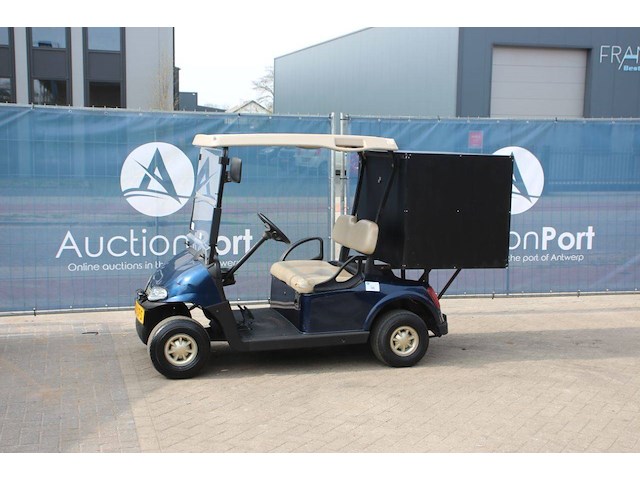 Golfkar ez-go txt elektrisch 2017 - afbeelding 1 van  1