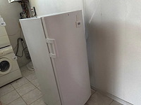 Gorenje zos2467 diepvries - afbeelding 1 van  5