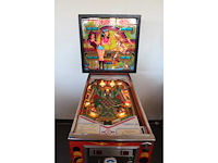 Gottlieb - pinball pool - flipperkast - afbeelding 1 van  7
