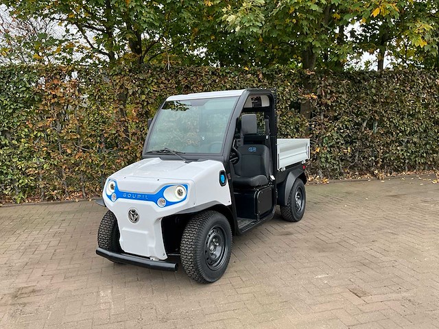 Goupil g2 pick up loodzuur - afbeelding 1 van  22