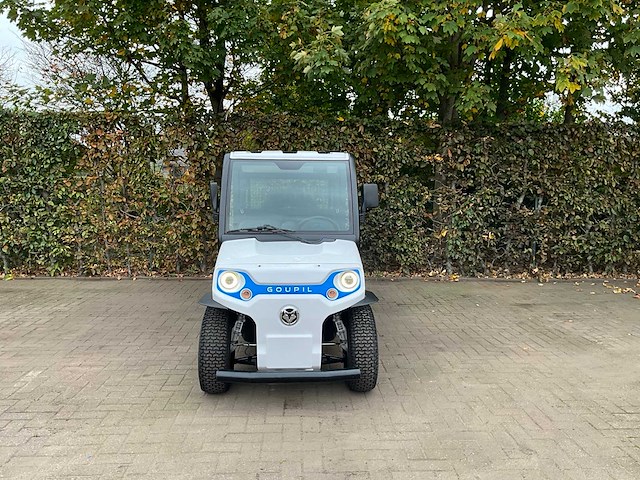 Goupil g2 pick up loodzuur - afbeelding 17 van  22