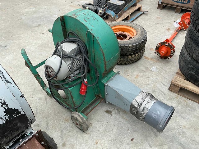 Graanblazer - afbeelding 1 van  4