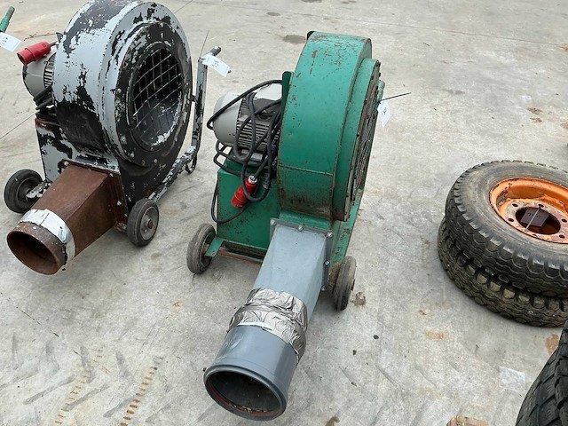 Graanblazer - afbeelding 4 van  4