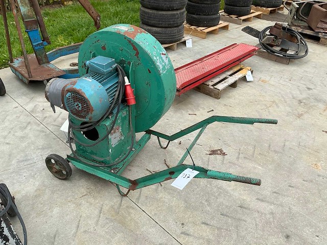 Graanblazer - afbeelding 2 van  4