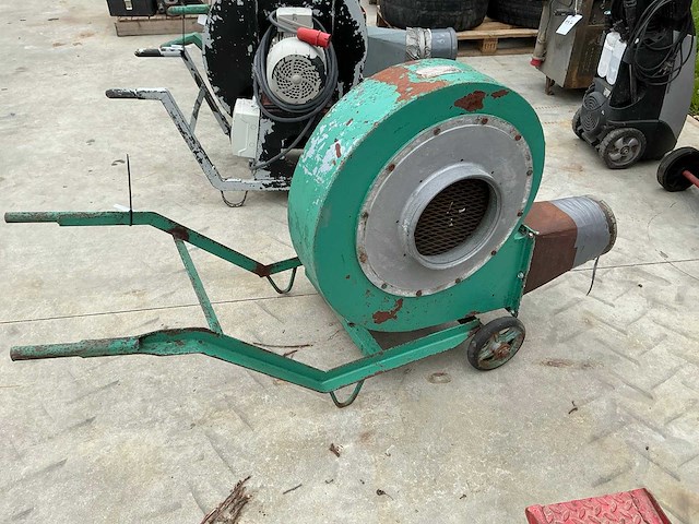 Graanblazer - afbeelding 3 van  4