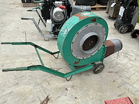 Graanblazer - afbeelding 3 van  4