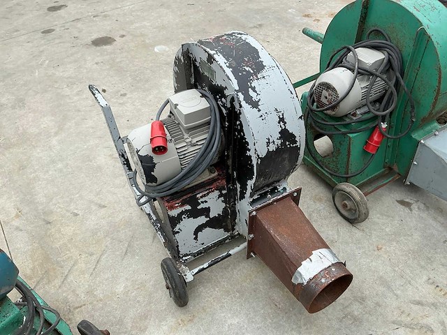 Graanblazer - afbeelding 4 van  4