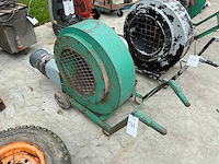 Graanblazer - afbeelding 3 van  3