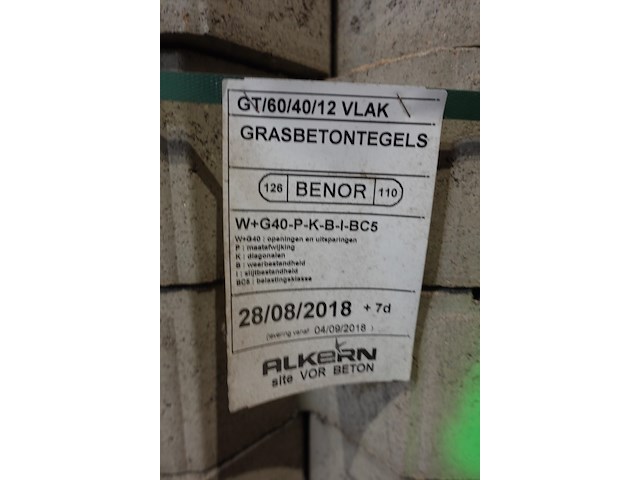 Grasbetontegels - afbeelding 4 van  4