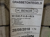 Grasbetontegels - afbeelding 4 van  4