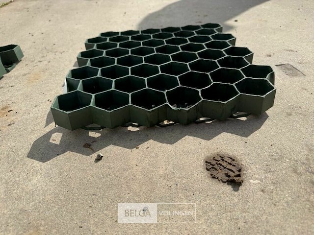 Grasdallen - afbeelding 1 van  3