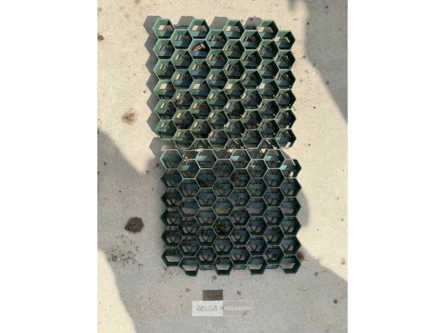 Grasdallen - afbeelding 2 van  3