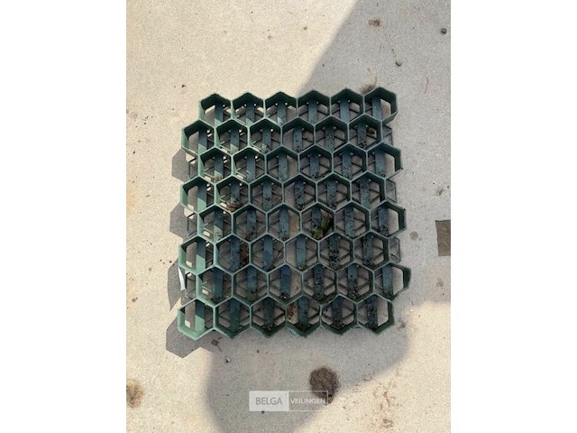 Grasdallen - afbeelding 3 van  3