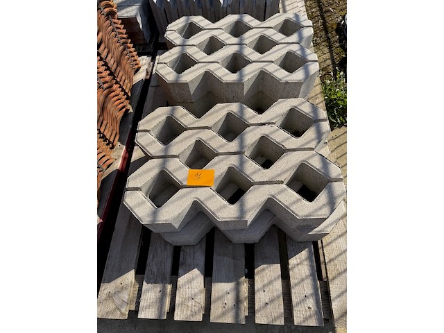 Grasdallen - afbeelding 1 van  1