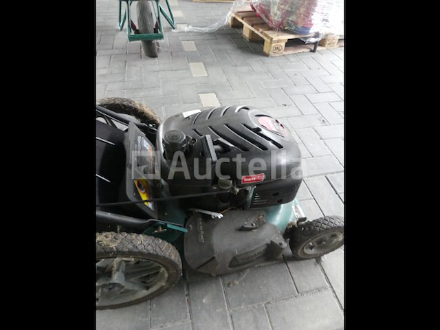 Grasmaaier - afbeelding 10 van  12