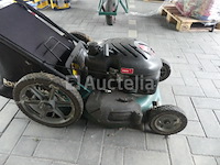 Grasmaaier - afbeelding 12 van  12