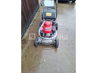 Grasmaaier - afbeelding 5 van  5