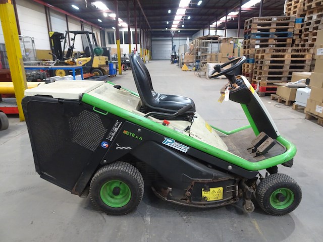 Grasmachine etesia - afbeelding 3 van  5