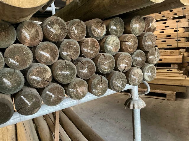 Grenen paal (50x) - afbeelding 6 van  8