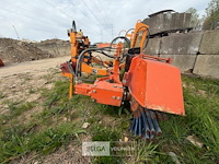 Greppelborstel vandaele - afbeelding 4 van  8