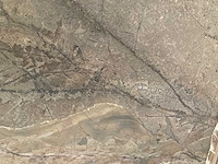 Grigio collemandino - afbeelding 3 van  4