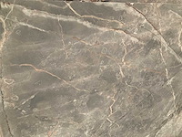 Grigio collemandino - afbeelding 4 van  4