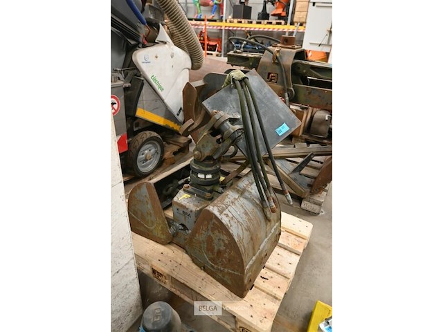 Grijpbak kobra - afbeelding 1 van  6