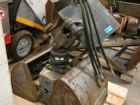 Grijpbak kobra - afbeelding 1 van  6