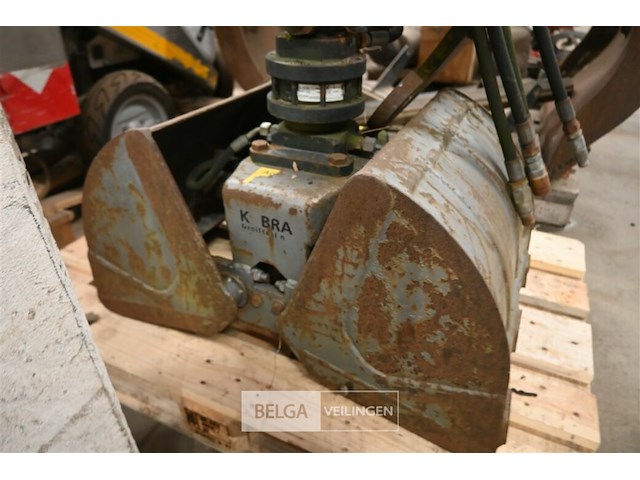 Grijpbak kobra - afbeelding 2 van  6