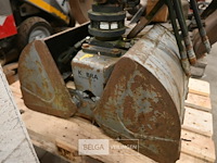 Grijpbak kobra - afbeelding 2 van  6