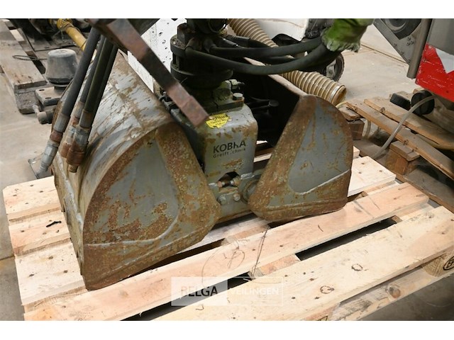 Grijpbak kobra - afbeelding 3 van  6