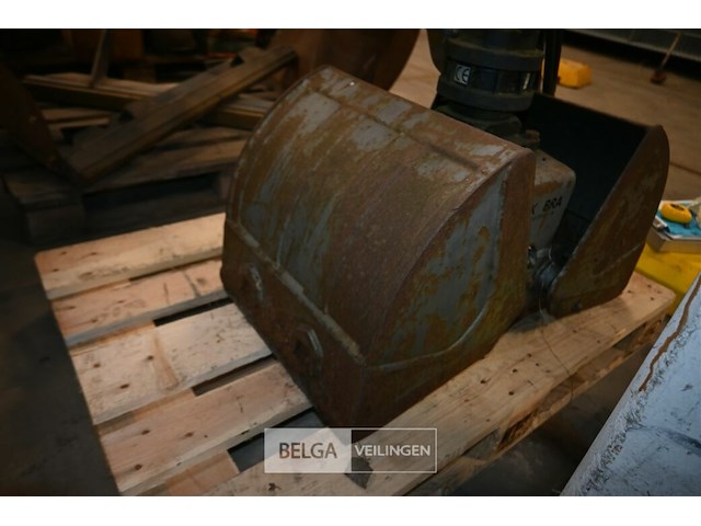 Grijpbak kobra - afbeelding 6 van  6