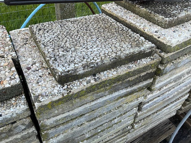 Grondallen - afbeelding 3 van  9