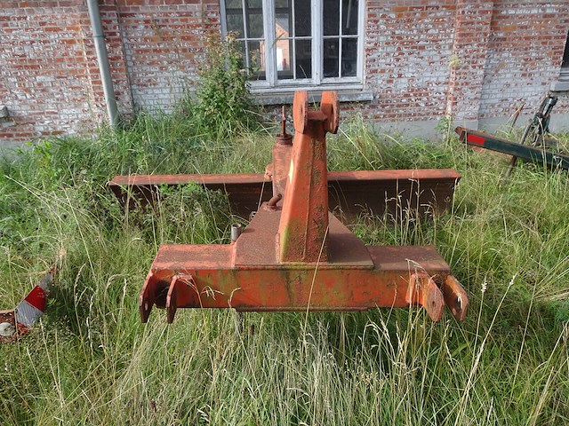 Grondschaaf - afbeelding 1 van  3