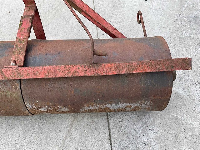 Grondwals - afbeelding 4 van  6