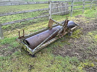 Grondwals - afbeelding 3 van  6