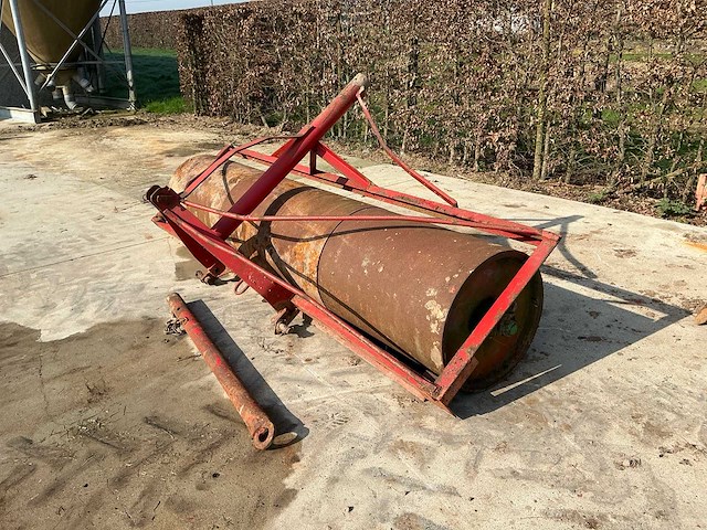 Grondwals - afbeelding 1 van  4