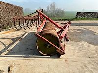 Grondwals - afbeelding 4 van  4