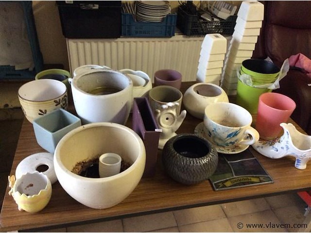 Groot lot bloempotjes - afbeelding 1 van  3