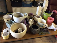 Groot lot bloempotjes - afbeelding 1 van  3