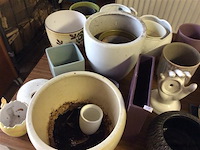 Groot lot bloempotjes - afbeelding 2 van  3