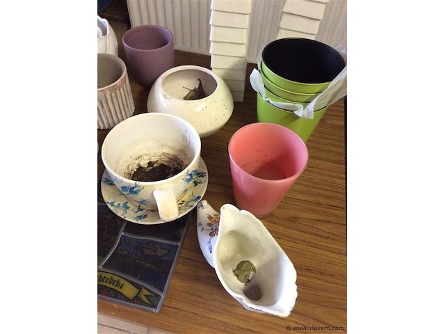 Groot lot bloempotjes - afbeelding 3 van  3