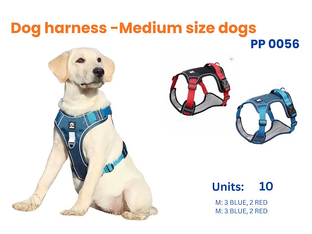 Groot lot dieren toebehoren (562x) - afbeelding 22 van  31