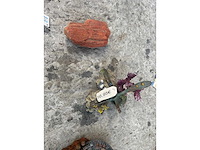 Groot lot dierenbenodigdheden (stopzetting) - afbeelding 2 van  196