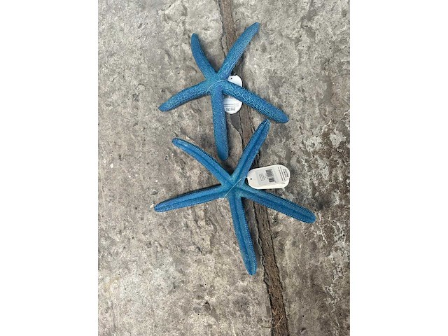 Groot lot dierenbenodigdheden (stopzetting) - afbeelding 35 van  196