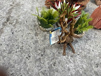 Groot lot dierenbenodigdheden (stopzetting) - afbeelding 79 van  196