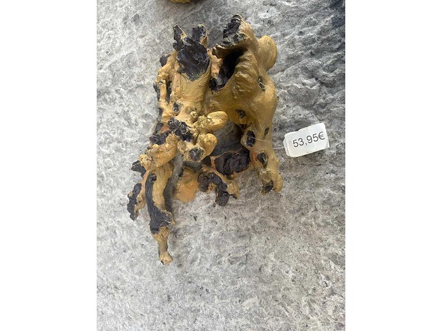 Groot lot dierenbenodigdheden (stopzetting) - afbeelding 111 van  196