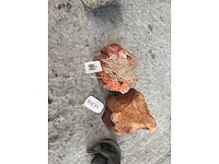 Groot lot dierenbenodigdheden (stopzetting) - afbeelding 112 van  196